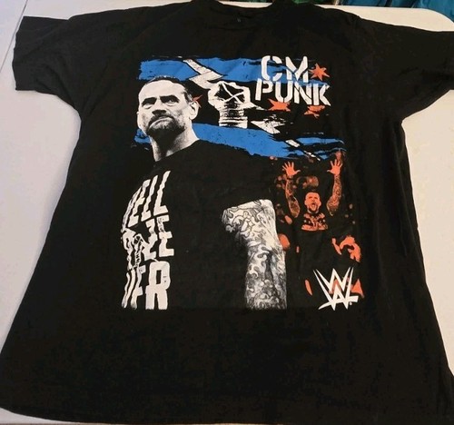 Punk wwe hell froze - wwe, over