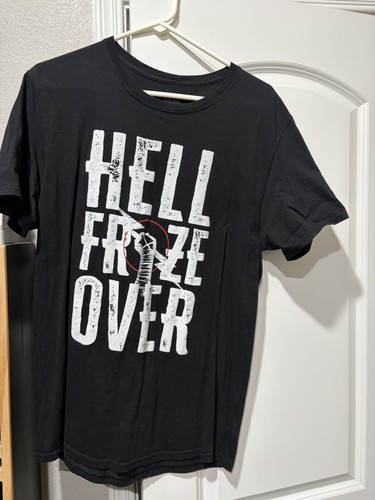 Wwe punk hell froze - cm,