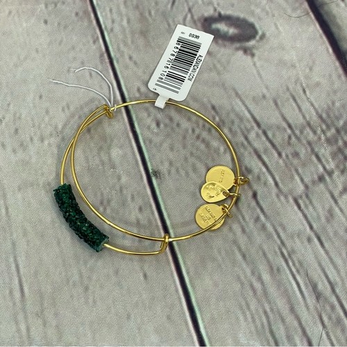 Alex and ani froze spruce - and,
