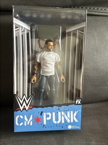 Wwe punk hell froze - wwe,