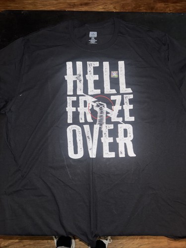 Wwe authentic punk - punk, “hell